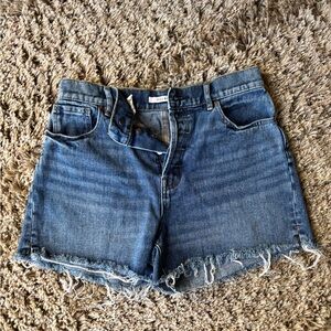 PacSun Classic Blue Jean Shorts